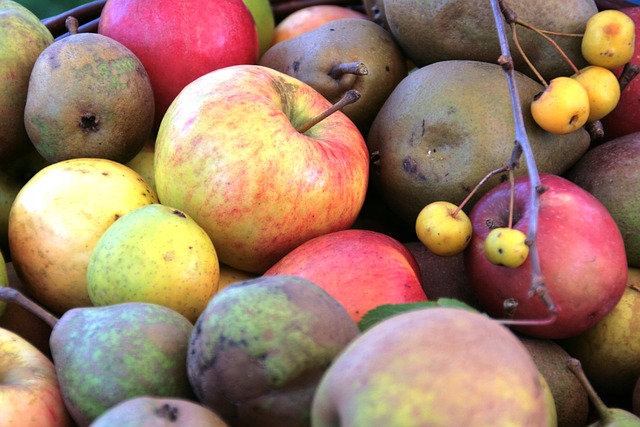 Smagfulde æblesorter - En guide til at kende forskellene
