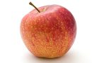 Find de Bedste Æbletræer til Dit Haveprojekt